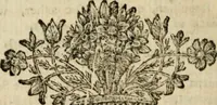 Picture 4 of 5 from Siris : a chain of philosophical reflexions and inquiries concerning the virtues of tar water, and divers other subjects connected together and arising one from another (1744), leaf 9