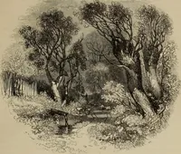 An illustration from Sir Uvedale Price, On the picturesque : with an essay On the origin of taste, and much original matter (1842)