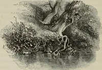 An illustration from Sir Uvedale Price, On the picturesque : with an essay On the origin of taste, and much original matter (1842)