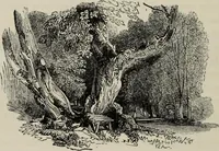 An illustration from Sir Uvedale Price, On the picturesque : with an essay On the origin of taste, and much original matter (1842)