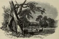 An illustration from Sir Uvedale Price, On the picturesque : with an essay On the origin of taste, and much original matter (1842)