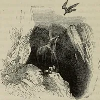 An illustration from Sir Uvedale Price, On the picturesque : with an essay On the origin of taste, and much original matter (1842)