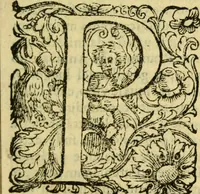 An illustration from Sito, et antichita della citta di Pozzuolo : e del suo amenissimo distretto. Con la descrittione di tutti i luoghi notabili ... e di Cuma, et di Baia, e di Miseno ... con le figure de gli edifici, e con gli epitafi che vi sono. (1591)
