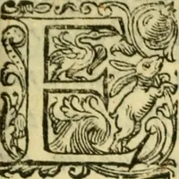 Picture 3 of 4 from Sito, et antichita della citta di Pozzuolo : e del suo amenissimo distretto. Con la descrittione di tutti i luoghi notabili ... e di Cuma, et di Baia, e di Miseno ... con le figure de gli edifici, e con gli epitafi che vi sono. (1591), leaf 20