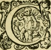 An illustration from Sito, et antichita della citta di Pozzuolo : e del suo amenissimo distretto. Con la descrittione di tutti i luoghi notabili ... e di Cuma, et di Baia, e di Miseno ... con le figure de gli edifici, e con gli epitafi che vi sono. (1591)