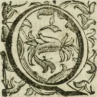 An illustration from Sito riminese (1616)
