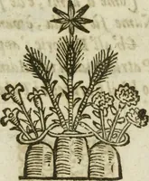 An illustration from Sito riminese (1616)