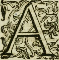 An illustration from Sito riminese (1616)