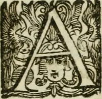 An illustration from Sito riminese (1616)