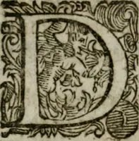 An illustration from Sito riminese (1616)