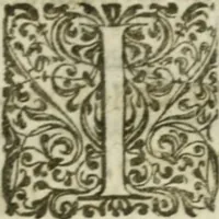 An illustration from Sito riminese (1616)