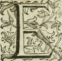 Picture 2 of 22 from Sito riminese (1616), leaf 6