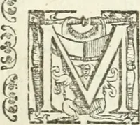 An illustration from Vaticinia, siue, Prophetiae Abbatis Ioachimi & Anselmi episcopi marsicani ... : qvibvs rota et oraculum turcicum maxime considerationis adiecta sunt : vnà cum praefatione et adnotationibus Paschalini Regiselmi = Vaticinii, ouero, Profetie dell'abbate Gioachino & di Anselmo vescovo di Marsico ... : a qvalli e aggionta una ruota et un' oracolo turchesco di grandissima cosideratione : insieme con la prefatione et annotationi di Pasqualino Regiselmo (1600)