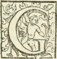 An illustration from Vaticinia, siue, Prophetiae Abbatis Ioachimi & Anselmi episcopi marsicani ... : qvibvs rota et oraculum turcicum maxime considerationis adiecta sunt : vnà cum praefatione et adnotationibus Paschalini Regiselmi = Vaticinii, ouero, Profetie dell'abbate Gioachino & di Anselmo vescovo di Marsico ... : a qvalli e aggionta una ruota et un' oracolo turchesco di grandissima cosideratione : insieme con la prefatione et annotationi di Pasqualino Regiselmo (1600)
