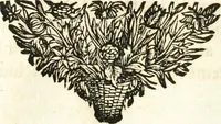 Picture 17 of 214 from Symbolographia, sive, De arte symbolica : sermones septem (1701), leaf 101