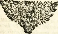 Picture 63 of 214 from Symbolographia, sive, De arte symbolica : sermones septem (1701), leaf 288