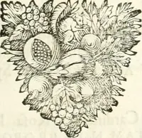 An illustration from Symbolographia, sive, De arte symbolica : sermones septem (1701)