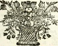Picture 65 of 214 from Symbolographia, sive, De arte symbolica : sermones septem (1701), leaf 300