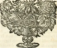 Picture 10 of 214 from Symbolographia, sive, De arte symbolica : sermones septem (1701), leaf 31