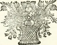 Picture 66 of 214 from Symbolographia, sive, De arte symbolica : sermones septem (1701), leaf 313