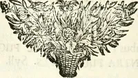Picture 67 of 214 from Symbolographia, sive, De arte symbolica : sermones septem (1701), leaf 321