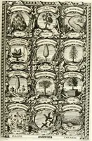 Picture 100 of 214 from Symbolographia, sive, De arte symbolica : sermones septem (1701), leaf 394