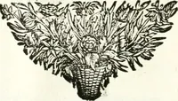 Picture 13 of 214 from Symbolographia, sive, De arte symbolica : sermones septem (1701), leaf 45