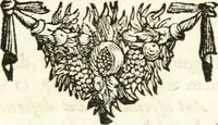 Picture 134 of 214 from Symbolographia, sive, De arte symbolica : sermones septem (1701), leaf 484