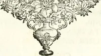 An illustration from Symbolographia, sive, De arte symbolica : sermones septem (1701)