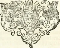 Picture 136 of 214 from Symbolographia, sive, De arte symbolica : sermones septem (1701), leaf 492