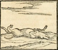An illustration from Hieroglyphica, sive, De sacris Aegyptiorvm aliarvmqve gentivm literis commentarij (1567)