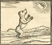 An illustration from Hieroglyphica, sive, De sacris Aegyptiorvm aliarvmqve gentivm literis commentarij (1567)