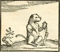 Picture 48 of 317 from Hieroglyphica, sive, De sacris Aegyptiorvm aliarvmqve gentivm literis commentarij (1567), leaf 104