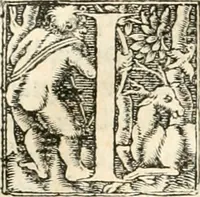 Picture 51 of 317 from Hieroglyphica, sive, De sacris Aegyptiorvm aliarvmqve gentivm literis commentarij (1567), leaf 109