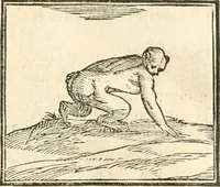An illustration from Hieroglyphica, sive, De sacris Aegyptiorvm aliarvmqve gentivm literis commentarij (1567)