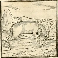 An illustration from Hieroglyphica, sive, De sacris Aegyptiorvm aliarvmqve gentivm literis commentarij (1567)