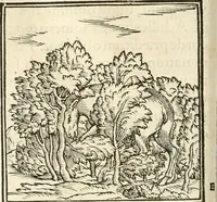 Picture 58 of 317 from Hieroglyphica, sive, De sacris Aegyptiorvm aliarvmqve gentivm literis commentarij (1567), leaf 119