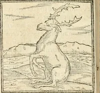 An illustration from Hieroglyphica, sive, De sacris Aegyptiorvm aliarvmqve gentivm literis commentarij (1567)