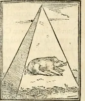 An illustration from Hieroglyphica, sive, De sacris Aegyptiorvm aliarvmqve gentivm literis commentarij (1567)