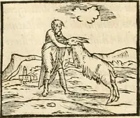 An illustration from Hieroglyphica, sive, De sacris Aegyptiorvm aliarvmqve gentivm literis commentarij (1567)