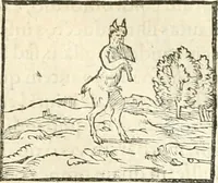 Picture 72 of 317 from Hieroglyphica, sive, De sacris Aegyptiorvm aliarvmqve gentivm literis commentarij (1567), leaf 154