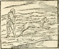 An illustration from Hieroglyphica, sive, De sacris Aegyptiorvm aliarvmqve gentivm literis commentarij (1567)