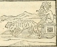 An illustration from Hieroglyphica, sive, De sacris Aegyptiorvm aliarvmqve gentivm literis commentarij (1567)