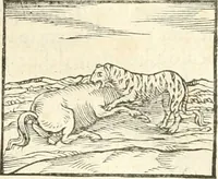 An illustration from Hieroglyphica, sive, De sacris Aegyptiorvm aliarvmqve gentivm literis commentarij (1567)