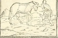 Picture 88 of 317 from Hieroglyphica, sive, De sacris Aegyptiorvm aliarvmqve gentivm literis commentarij (1567), leaf 186