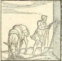 An illustration from Hieroglyphica, sive, De sacris Aegyptiorvm aliarvmqve gentivm literis commentarij (1567)