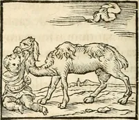 Picture 92 of 317 from Hieroglyphica, sive, De sacris Aegyptiorvm aliarvmqve gentivm literis commentarij (1567), leaf 199