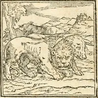 An illustration from Hieroglyphica, sive, De sacris Aegyptiorvm aliarvmqve gentivm literis commentarij (1567)