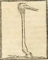 An illustration from Hieroglyphica, sive, De sacris Aegyptiorvm aliarvmqve gentivm literis commentarij (1567)