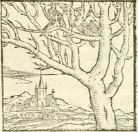 An illustration from Hieroglyphica, sive, De sacris Aegyptiorvm aliarvmqve gentivm literis commentarij (1567)